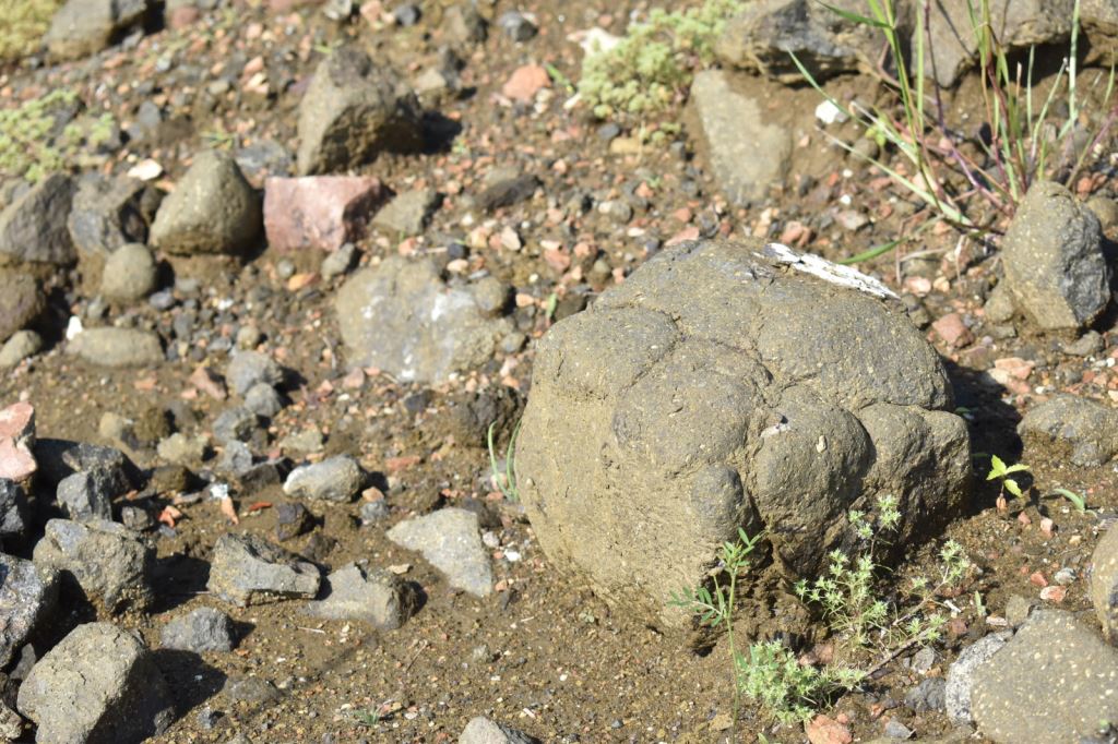 Discovering Lamproite at the Crater Arkansas State Parks